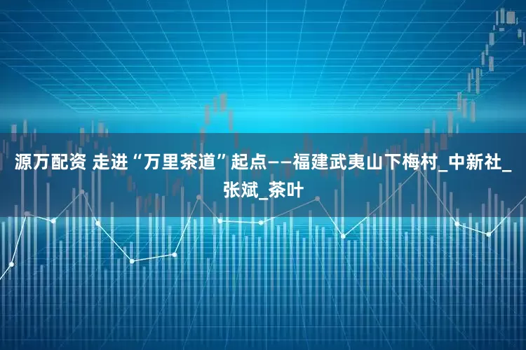 源万配资 走进“万里茶道”起点——福建武夷山下梅村_中新社_张斌_茶叶