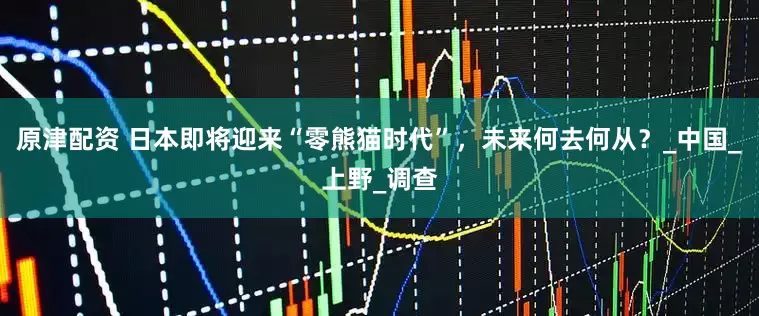 原津配资 日本即将迎来“零熊猫时代”，未来何去何从？_中国_上野_调查