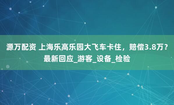 源万配资 上海乐高乐园大飞车卡住，赔偿3.8万？最新回应_游客_设备_检验
