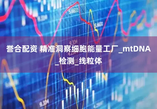 誉合配资 精准洞察细胞能量工厂_mtDNA_检测_线粒体